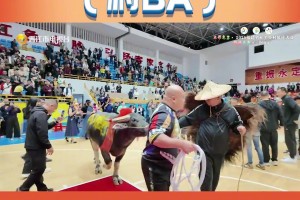 😏兄弟们，又又又拿冠军了！